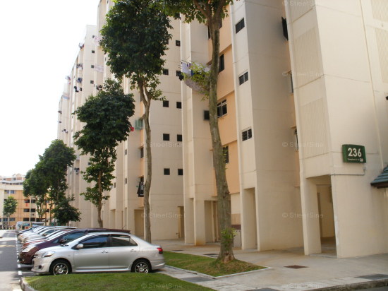 Blk 236 Tampines Street 21 (Tampines), HDB 4 Rooms #86892